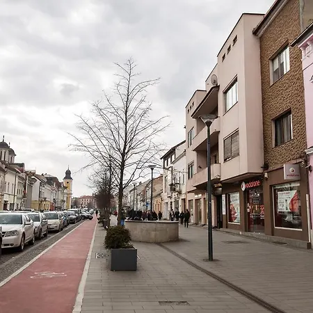 Apartment Old Eroilor - Ultracentral & Free Parking *
